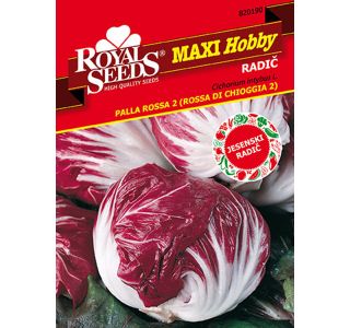 MAXI 190 RADIČ JESENSKI PALLA ROSSA 2