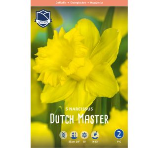 NARCISE DUTCH MASTER NARCISE DUTCH MASTER