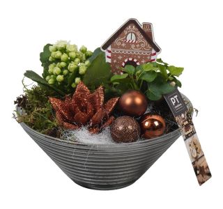 NASAD ZIMSKI NOTRANJI PTCHB9830 L19 CM