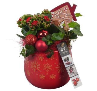 NASAD ZIMSKI NOTRANJI PTCHR7208 L12 CM