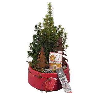 NASAD ZIMSKI ZUNANJI PTCWW6809 L17 CM