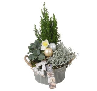 NASAD ZIMSKI ZUNANJI PTWO1942 L19 CM