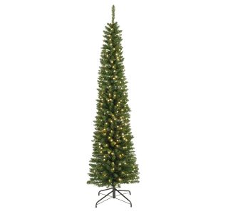 NOVOLETNA JELKA EVERLANDS 180 CM ZELENA LED PENCIL PINE NOVOLETNA JELKA EVERLANDS 180 CM ZELENA LED PENCIL PINE