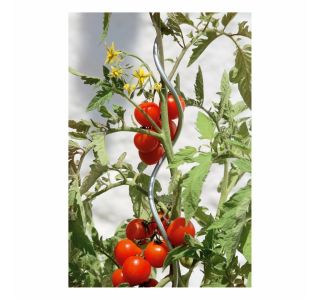 OPORNA PALICA WINDHAGER SPIRALA POCINKANA 150 CM ZA PARADIŽNIK OPORNA PALICA WINDHAGER SPIRALA POCINKANA 150 CM ZA PARADIŽNIK