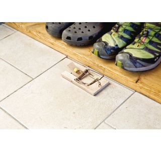 PAST ZA GLODALCE WINDHAGER ZA PODGANE, LESENA