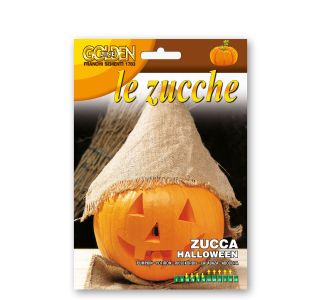 BUČA HALLOWEN