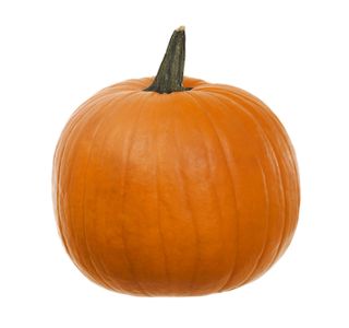 PLODOVKE BUČE L 10 CM