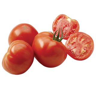 PLODOVKE DOBRO & ZDRAVO CEPLJENI PARADIŽNIK MAESTRIA F1 PLODOVKE DOBRO & ZDRAVO CEPLJENI PARADIŽNIK MAESTRIA F1