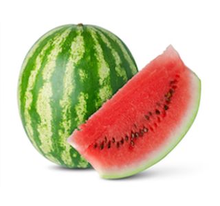 PLODOVKE LUBENICE L10 CM