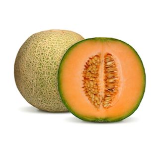 PLODOVKE MELONE L10 CM