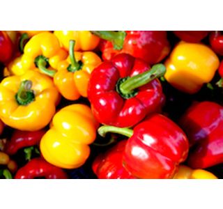 PLODOVKE PAPRIKA PARADIŽNIK 4 KOS