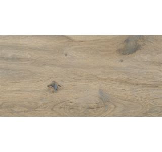 PLOŠČICA TALNA VIDEZ LESA SILVA BEIGE 30X60
