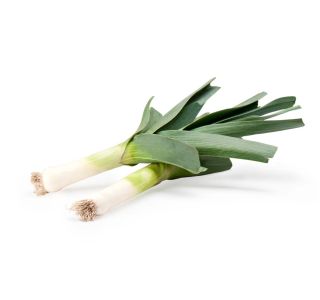 POR L'ORTO FRUTTIFERO DOLG 9/1 DELLA RIVIERA KULTIPAK