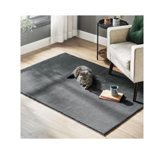 PREPROGA SONGMICS TAR012G02 120X170 CM