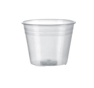 PE SADILNI LONEC PROZORNI FI 14 CM PE SADILNI LONEC PROZORNI FI 14 CM