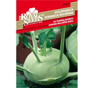 35 KOLERABICA DUNAJSKA BELA