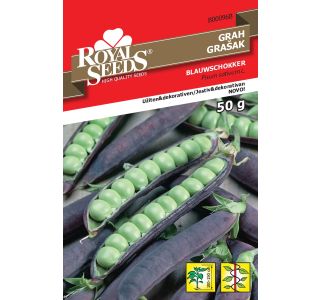 SEME STROČNIC ROYAL SEEDS GRAH VIJOLIČNI 50G