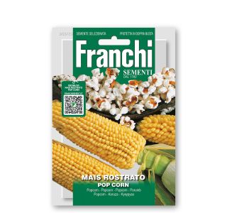 SEME VRTNINE FRANCHI SEMENTI KORUZA ZA POKOVKO SEME VRTNINE FRANCHI SEMENTI KORUZA ZA POKOVKO