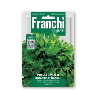 SEME VRTNINE FRANCHI SEMENTI PETERŠILJ GIGANTE DI NAPOLI