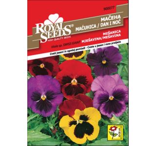 SEME CVETOČE RASTLINE ROYAL SEEDS MAČEHA MEŠANICA 77