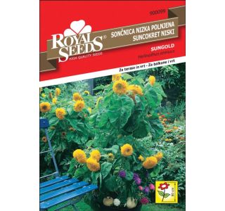 SONČNICA ROYAL SEEDS SG NIZKA POLN.99