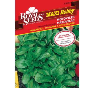 LISTNA ZELENJAVA ROYAL SEEDS MOTOVILEC HOLANDSKI MH 64 LISTNA ZELENJAVA ROYAL SEEDS MOTOVILEC HOLANDSKI MH 64
