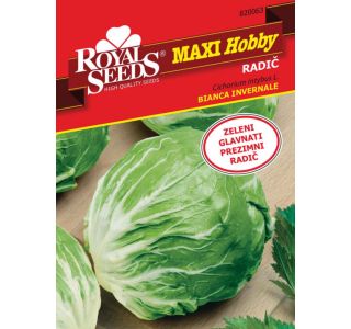 LISTNA ZELENJAVA ROYAL SEEDS RADIČ BIANCA I. MH 63 LISTNA ZELENJAVA ROYAL SEEDS RADIČ BIANCA I. MH 63