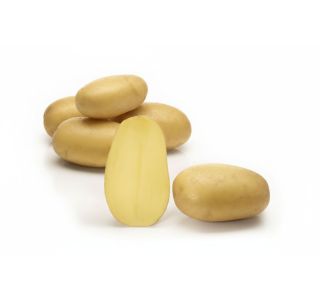 SEMENSKI KROMPIR SEMENARNA QUEEN ANNE ZGODNJA 3 KG 30-50MM