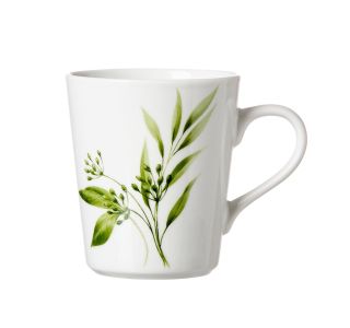 SKODELICA / LONČEK RITZENHOFF & BREKER 300 ML EVORA