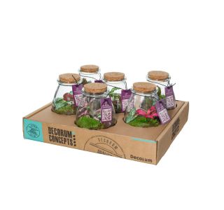 SOBNA ZELENA RASTLINA TERARIJ Z RASTLINAMI L9 CM