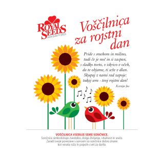 SONČNICA ROYAL SEEDS VOŠČILNICA ZA ROJSTNI DAN SONČNICA ROYAL SEEDS VOŠČILNICA ZA ROJSTNI DAN
