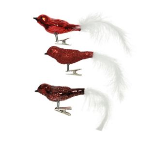 PTIČEK, RDEČ REP BELO PERJE, 3/1