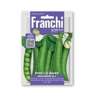 STROČNICA FRANCHI SEMENTI NIZEK GRAH PROGRESS STROČNICA FRANCHI SEMENTI NIZEK GRAH PROGRESS