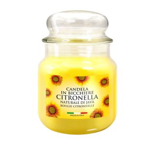 CITRONELA MEDIUM CTMJ010318