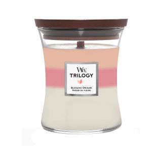 TRILOGY MEDIUM BLOOMING ORCHARD