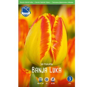 BANJA LUKA 10 KOS BANJA LUKA 10 KOS