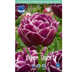 DREAM TOUCH (5 KOS) DREAM TOUCH (5 KOS)