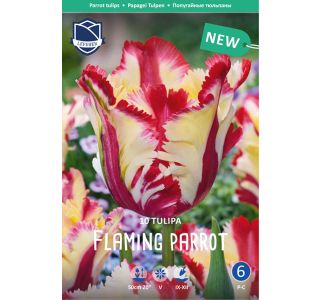 FLAMING PARROT (10 KOS) FLAMING PARROT (10 KOS)