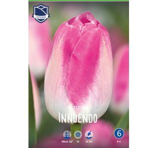 INNUENDO (10 KOS) INNUENDO (10 KOS)