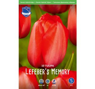 LEFEBERS MEMORY 10 KOS LEFEBERS MEMORY 10 KOS