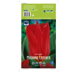 MADAME LEFEBER 10 KOS MADAME LEFEBER 10 KOS