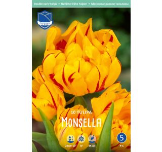 MONSELLA (10 KOS) MONSELLA (10 KOS)