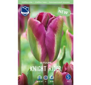 NIGHT RIDER (10 KOS) NIGHT RIDER (10 KOS)