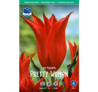 PRETTY WOMAN 10 KOS PRETTY WOMAN 10 KOS