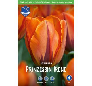 PRINZESSE IRENE 10 KOS PRINZESSE IRENE 10 KOS