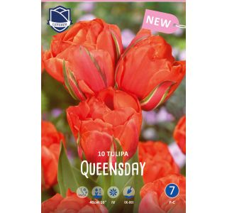 QUEENSDAY 10 KOS QUEENSDAY 10 KOS