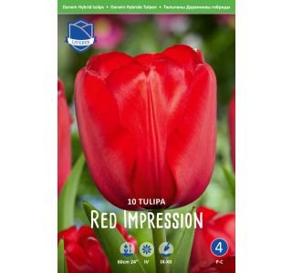 RED IMPRESSION 10 KOS RED IMPRESSION 10 KOS