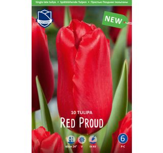 RED PROUD 10 KOS RED PROUD 10 KOS