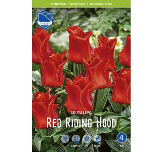 RED RIDING HOOD 10 KOS RED RIDING HOOD 10 KOS