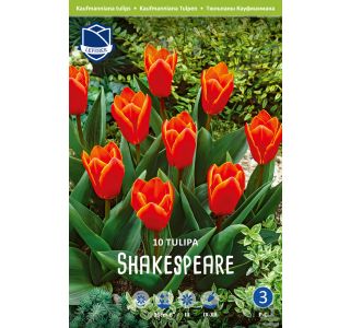 SHAKESPEARE (10 KOS) SHAKESPEARE (10 KOS)